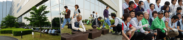 工場の西側一面に苗を植えたあと、全員で記念撮影