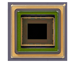 高解像度・高性能SWIRイメージセンサー  1/1.4型 約532万画素 IMX99 1/1.8型 約321万画素 IMX993