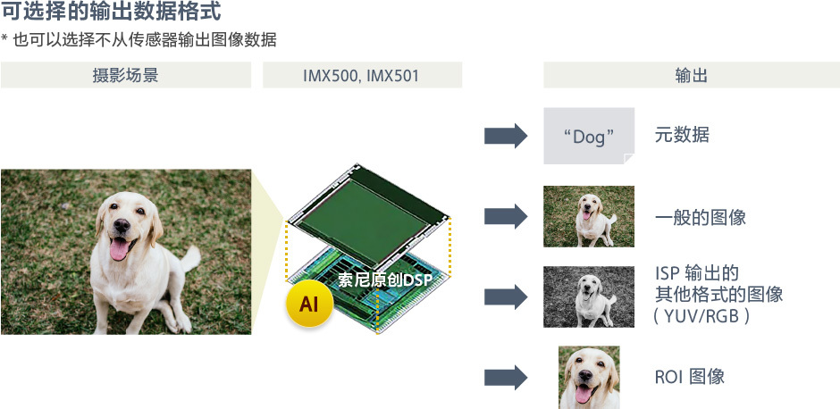 可输出元数据