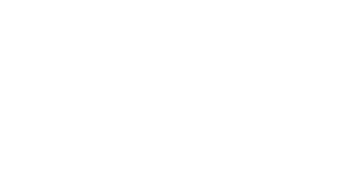 High-speed Interface SLVS-EC™