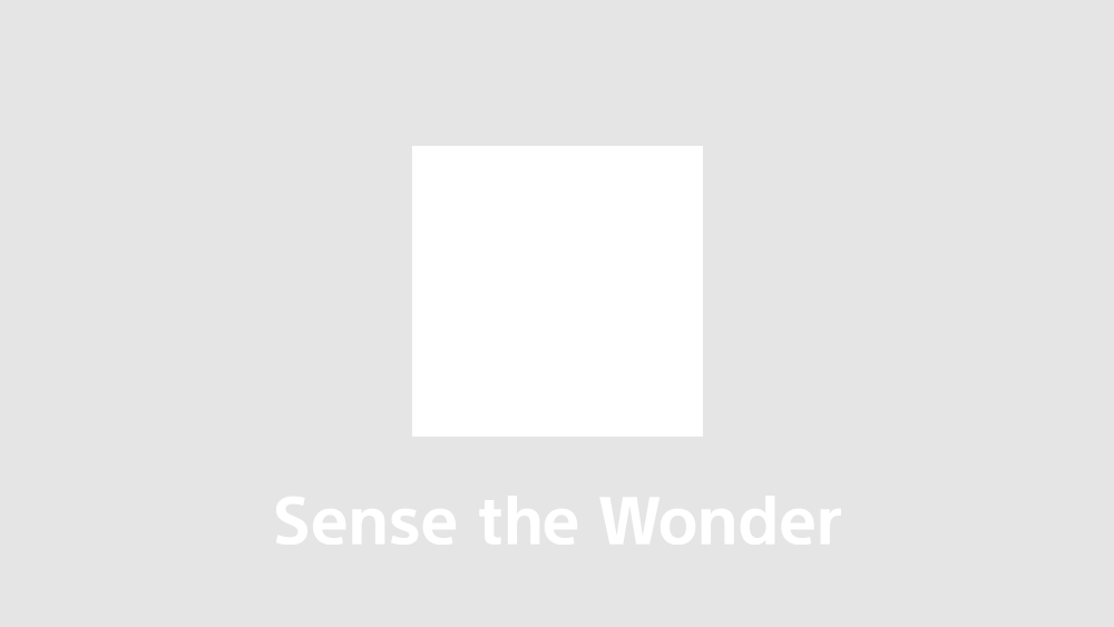 Sense the Wonder